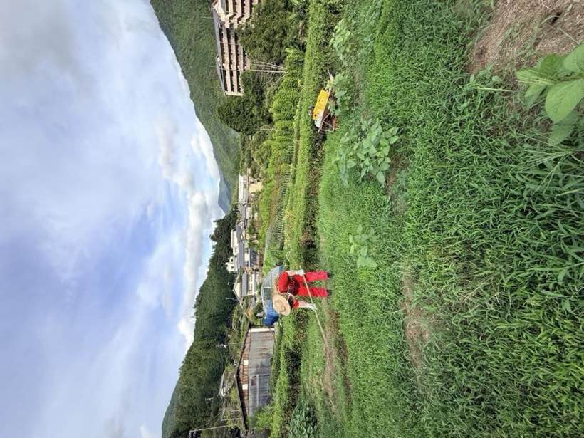 山あいに広がるまめファームの畑