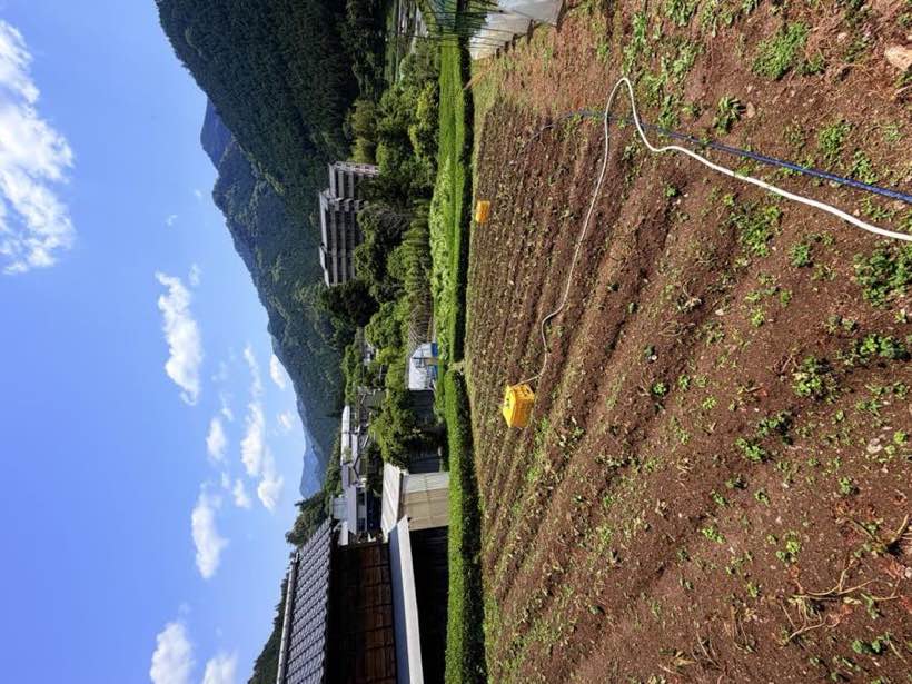 青空と畝の並んだ畑