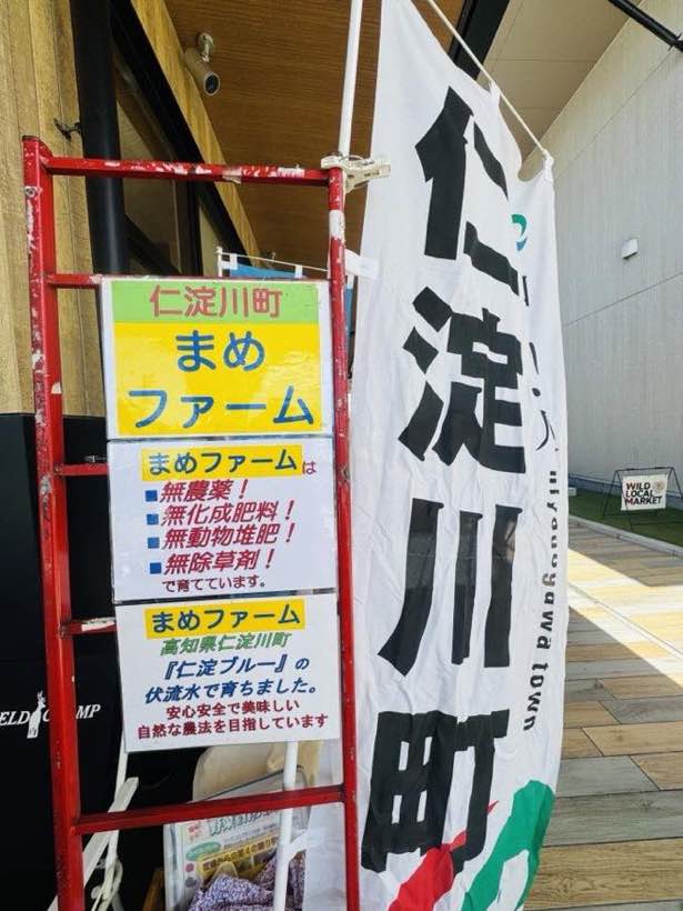 仁淀川町ののぼり