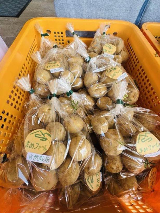 じゃがいも