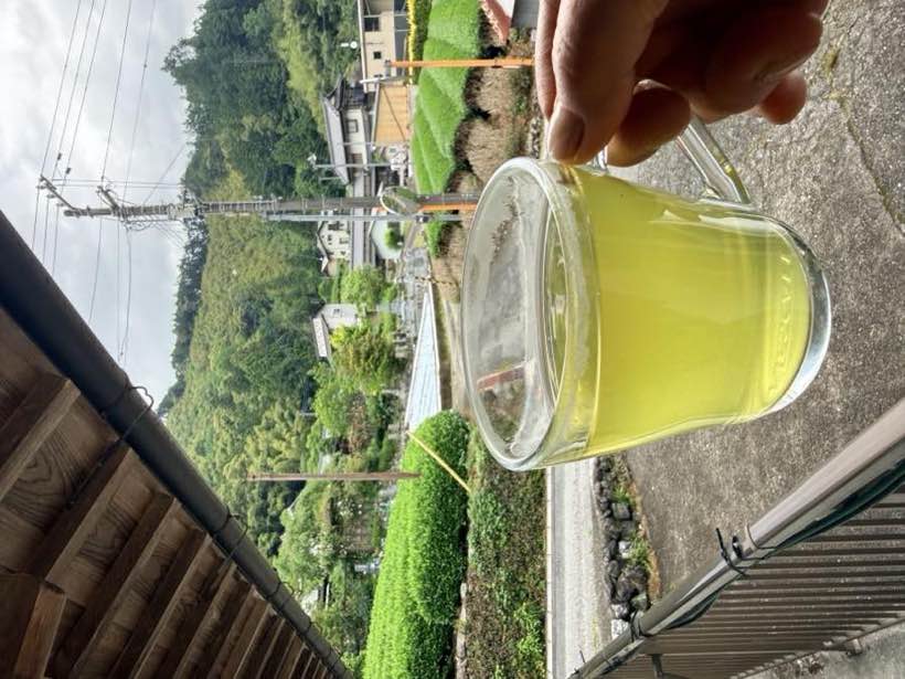 いれたてのまめファームのお茶